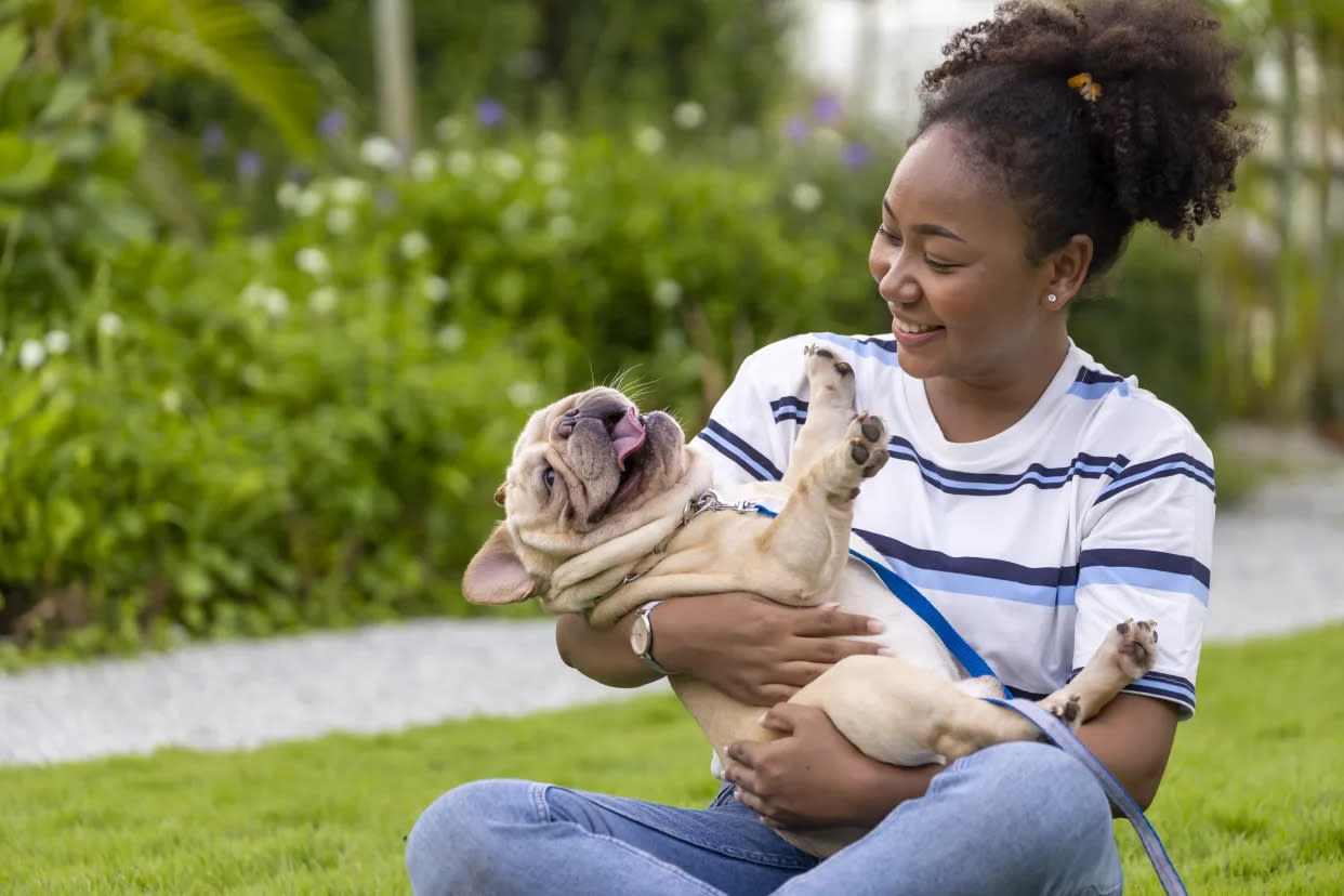 Könnte man sich weniger gestresst fühlen, wenn man mit einem Hund spielt? (Getty Creative)
