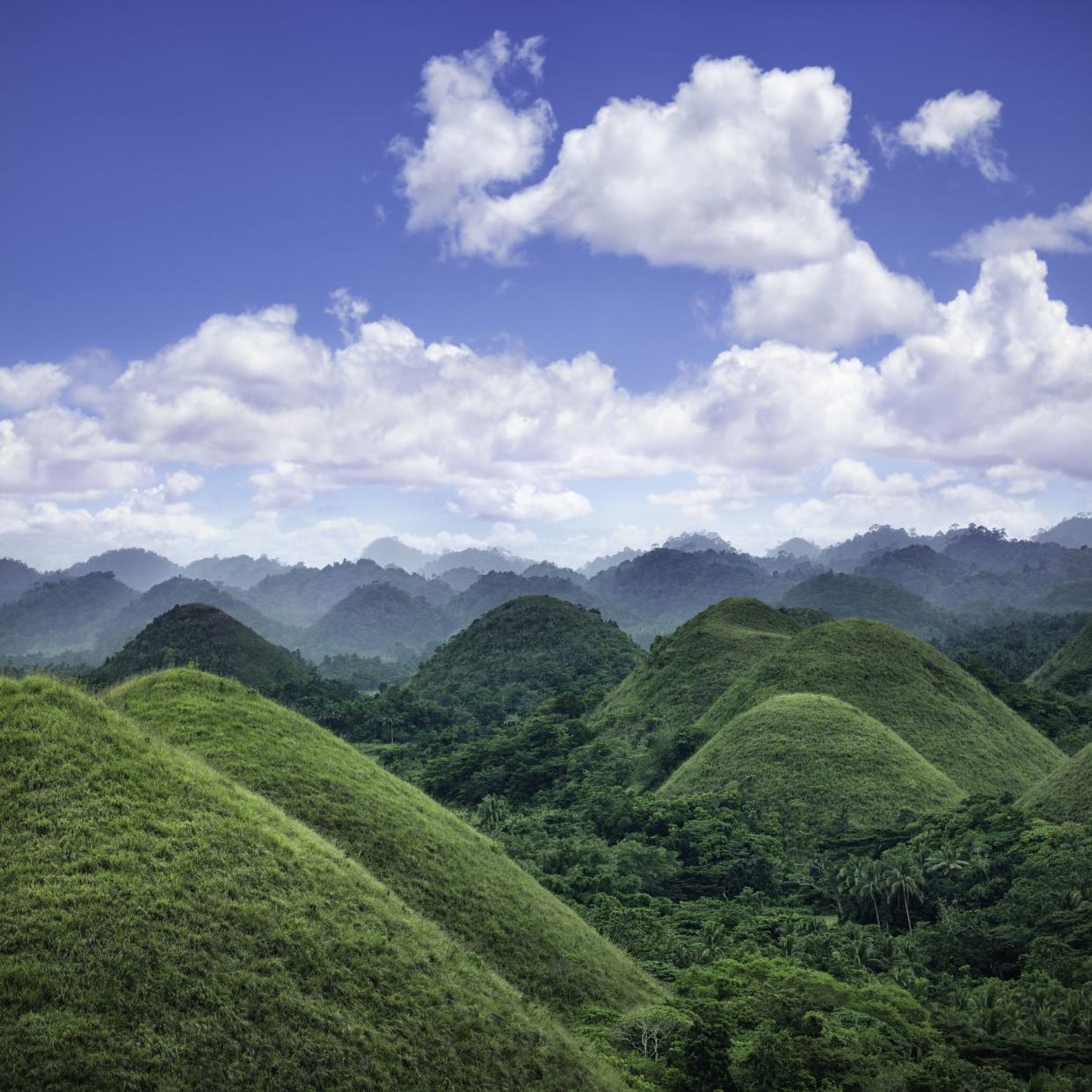 The chocolate hills of the island of Bohol in the Philippines.