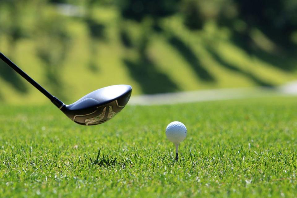 It is a chance to learn from a PGA pro <i>(Image: Canva)</i>