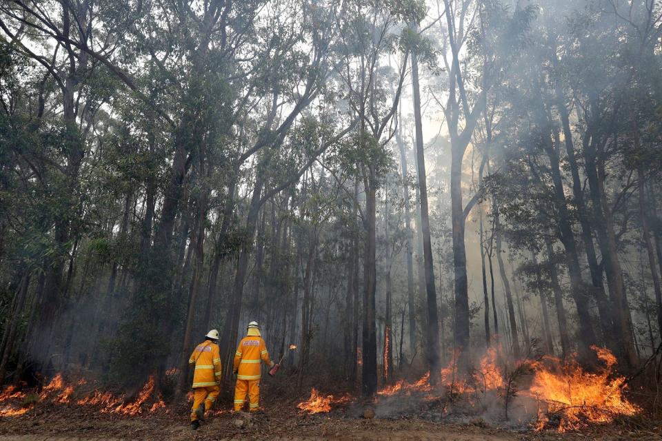 Firefighters manage a controlled burn near Tomerong, Australia, in an effort to contain a larger fire nearby on Jan. 8. 