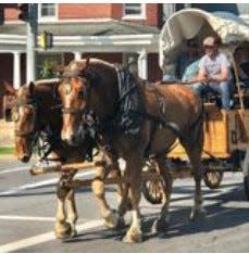 The annual National Pike Festival & James Shaull Wagon Train will be held Friday, May 17, through Sunday, May 19, along the National Road from Clear Spring to Boonsboro, with several stops along the way. For more information, send an email to jamesschaullwagontrainfdn@gmail.com or call 540-303-3083.