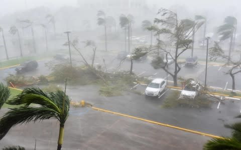 Trees are toppled in a parking lot at Roberto Clemente Coliseum in San Juan, Puerto Rico - Credit: HECTOR RETAMAL/AFP