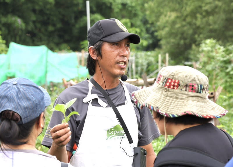 新北原住民食農教育體驗  學習野菜知識 新北市府原住民族行政局26日表示，25日下午在三峽 原民特色農園舉辦食農教育體驗活動，由阿美族導覽 員帶領，解說原住民族採集野菜與食用的知識。 （新北原民局提供） 中央社記者黃旭昇新北傳真  113年5月26日 