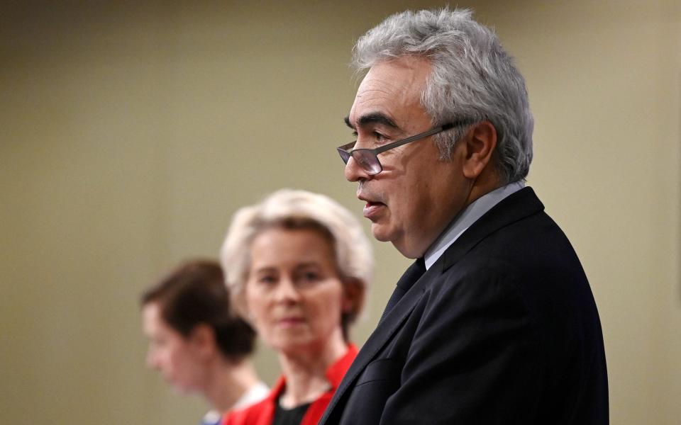 Fatih Birol, executive director of the IEA, says ‘the crisis is not over’ - John Thys/AFP
