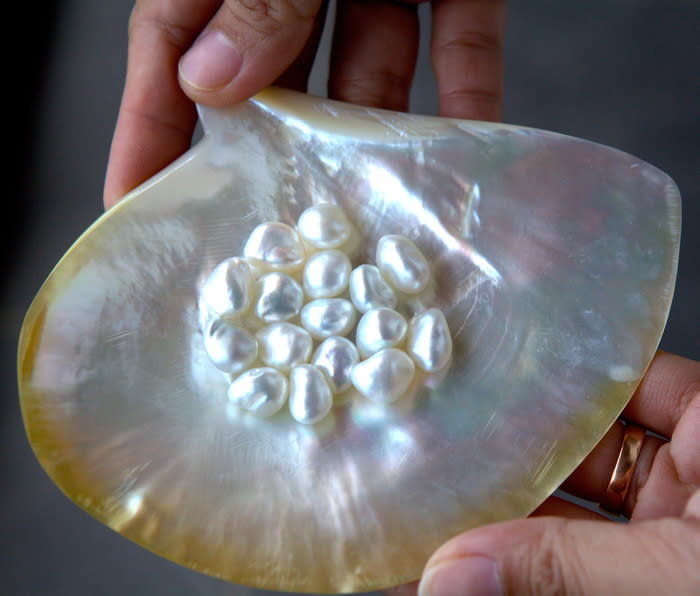 A number of pearls resting on an oyster shell's mother of pearl: Several tests can be determined to ensure a pearl is genuine. Applying fire is an obvious test. If it melts, it's not a pearl. If you scrape it against a tooth and you feel it sandy, it's a pearl. You could also try to cut it with a knife. If no marks are left, then you've got a pearl in your hands.