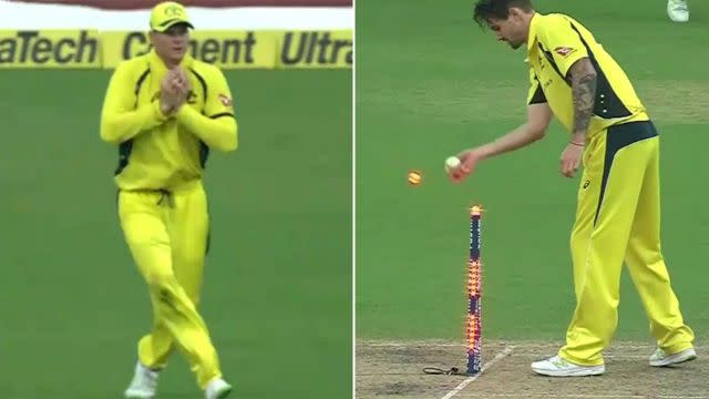 Smith takes the catch and Richardson completes the run-out. Image: Fox Sports