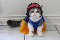 <p>Snoopy channelling his inner princess to become Snow White. “If I had to pick one it would have to be Batcat and Dobin (Batman and Robin),” Shirley says. (Photo: DailySnoopy/Caters News) </p>