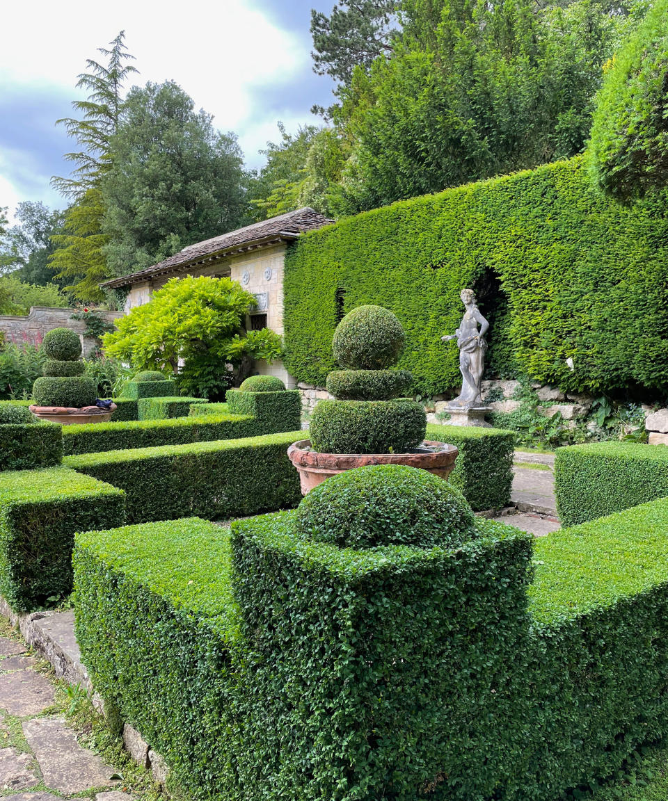 clipped buxus has been used for the borders of a formal parterre, surrounded by taxus hedging in gardens of Ilford Manor