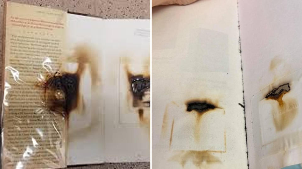 Microwaved library books destroyed and burnt