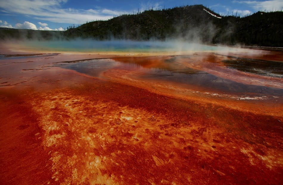 Yellowstone National Park, Wyoming (Reuters)