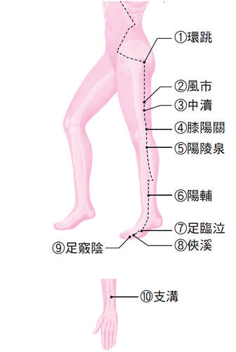 膽經穴道