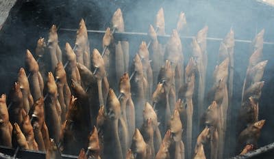 Eel smoking. Exhibition 2007 (Fishermen days, Visserij Dagen). <a href="https://commons.wikimedia.org/wiki/File:Eel_smoking.jpg" rel="nofollow noopener" target="_blank" data-ylk="slk:Labberté K.J./Wikimedia Commons;elm:context_link;itc:0;sec:content-canvas" class="link ">Labberté K.J./Wikimedia Commons</a>, <a href="http://creativecommons.org/licenses/by-sa/4.0/" rel="nofollow noopener" target="_blank" data-ylk="slk:CC BY-SA;elm:context_link;itc:0;sec:content-canvas" class="link ">CC BY-SA</a>