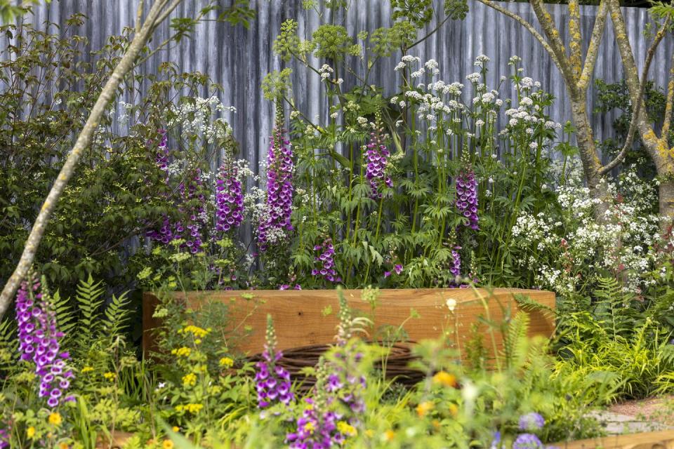 ann marie powells colourful octavia hill garden peoples choice award rhs chelsea flower show 2024