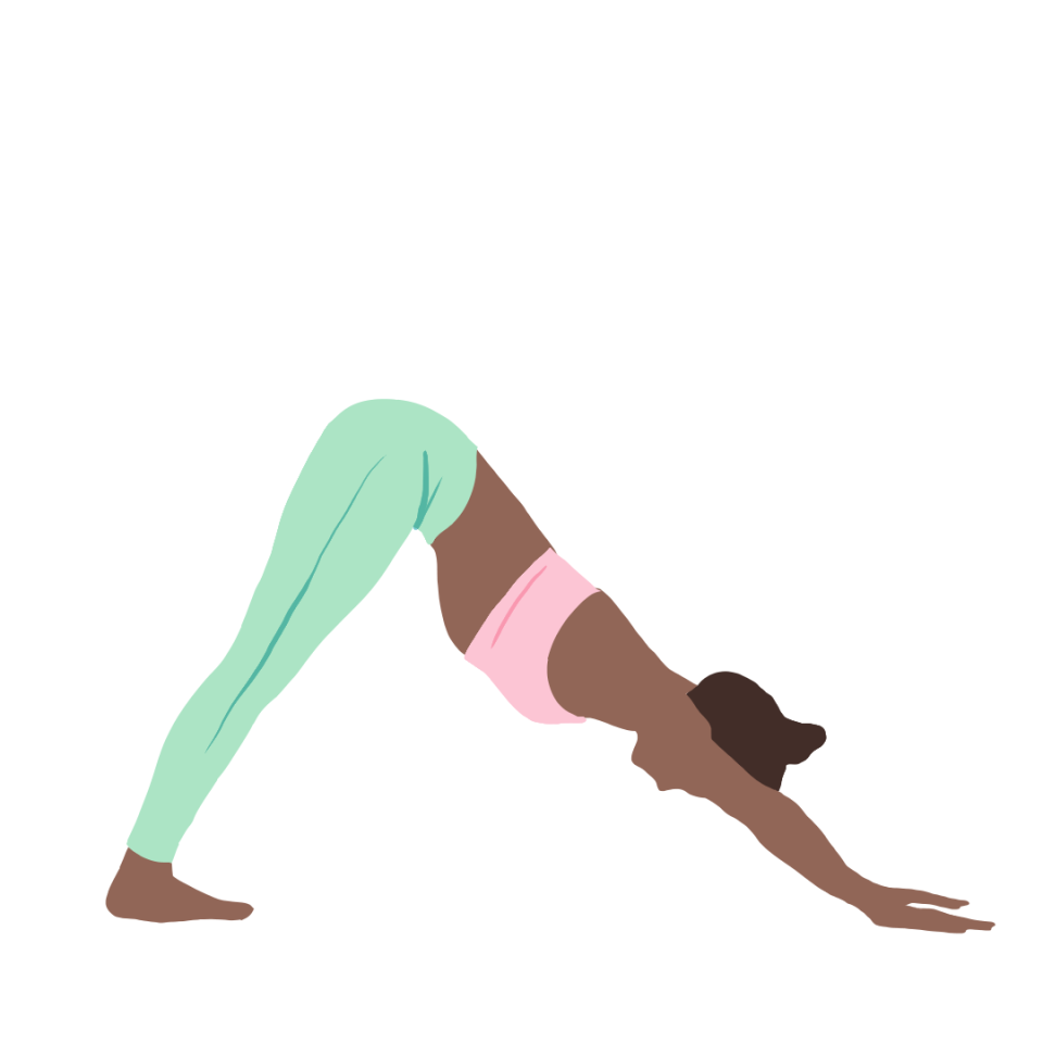 Hamstring Stretch: Downward Dog illustration