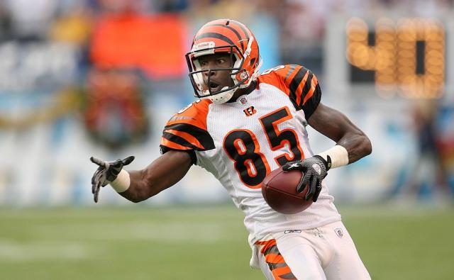 Cincinnati Bengals wide receiver Chad Johnson (85) gets tackled by