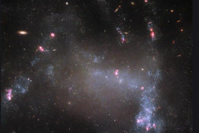 NASA said Friday the Hubble Space Telescope has spotted a "spider galaxy" called UGC 5829 that's about 30 million light-years from Earth. Photo courtesy of NASA