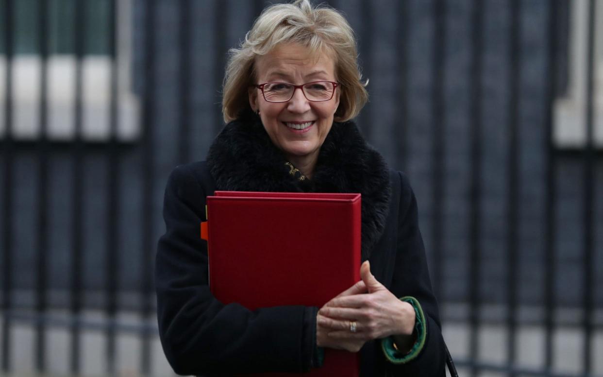 Andrea Leadsom, the Commons Leader - AFP