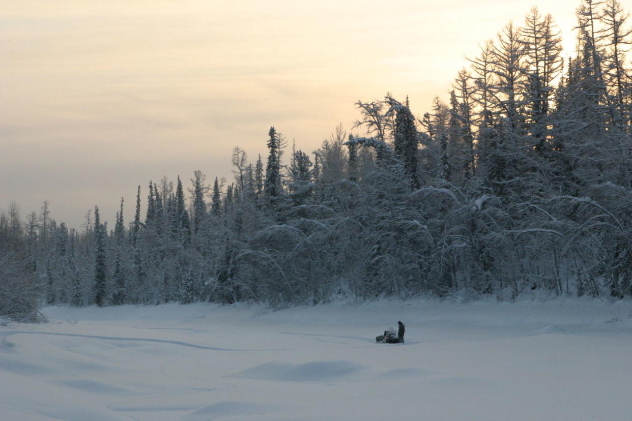 WATCH: Werner Herzog Takes On Siberia In 'Happy People: A Year In The Taiga' Trailer