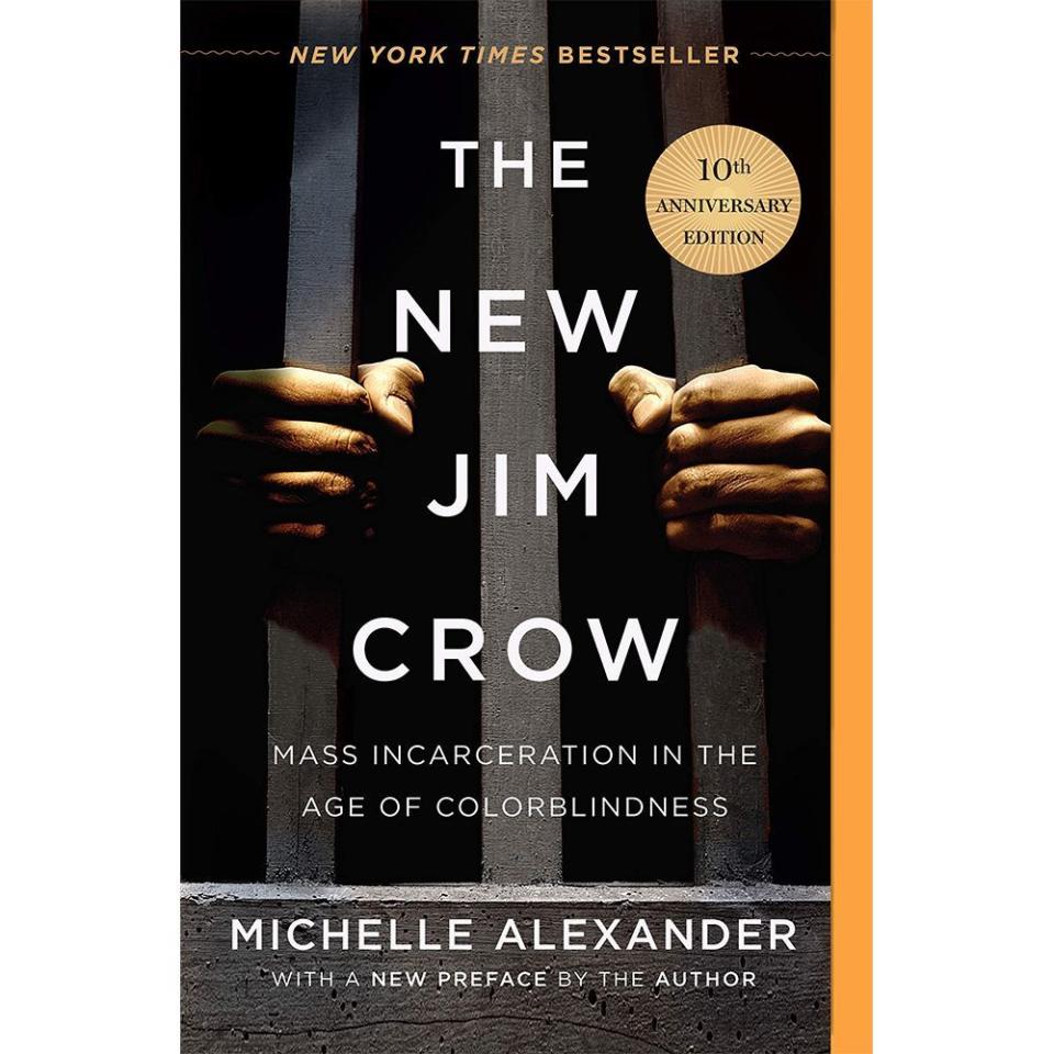 17) The New Jim Crow: Mass Incarceration in the Age of Colorblindness by Michelle Alexander