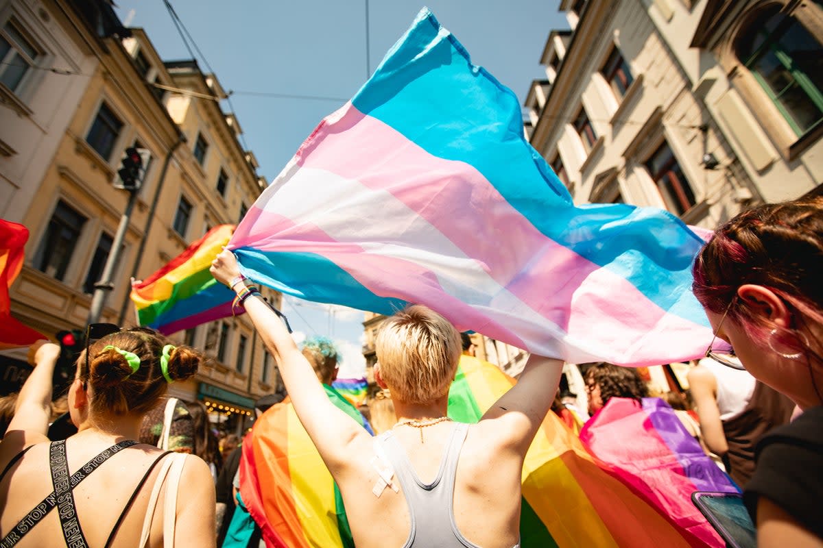 How to support your transgender relatives as governments take away their rights (Getty Images)