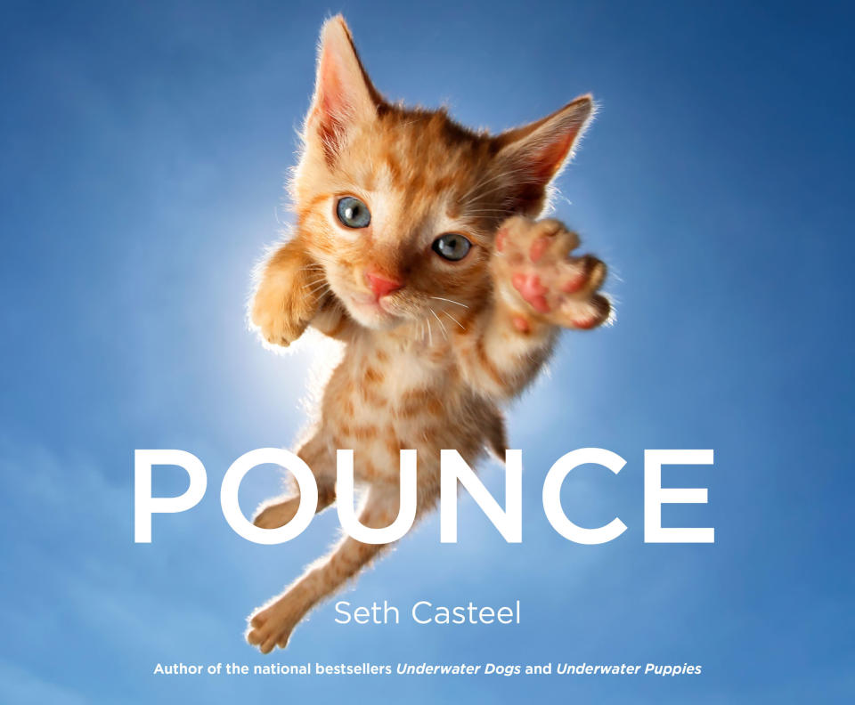 Pounce 
 , Seth Casteel