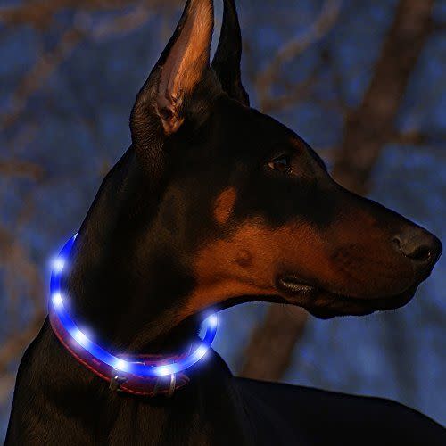 Rechargeable Glowing Pet Safety Collar