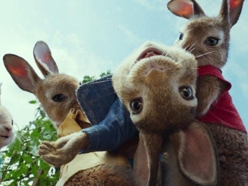 peter rabbit