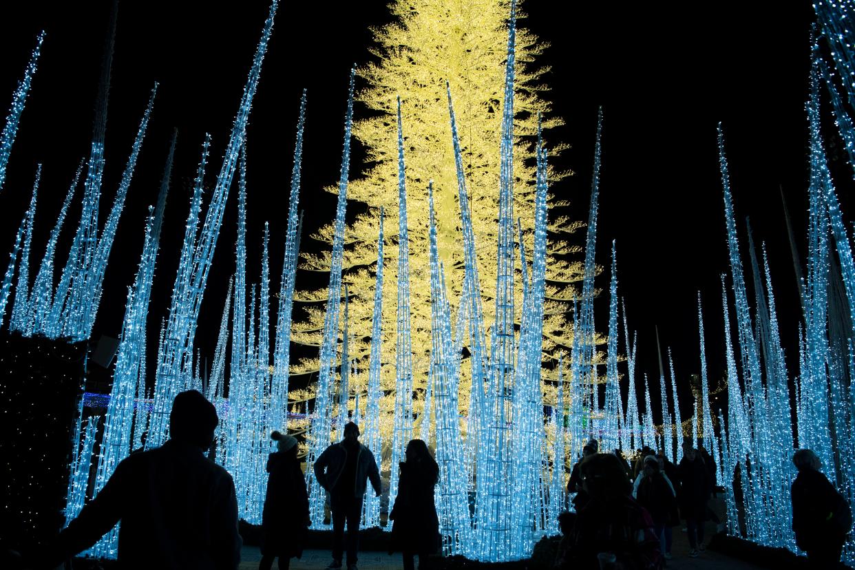 People walk through “Enchant” a new holiday light show at First Horizon Park  in Nashville , Tenn., Wednesday, Nov. 23, 2022.