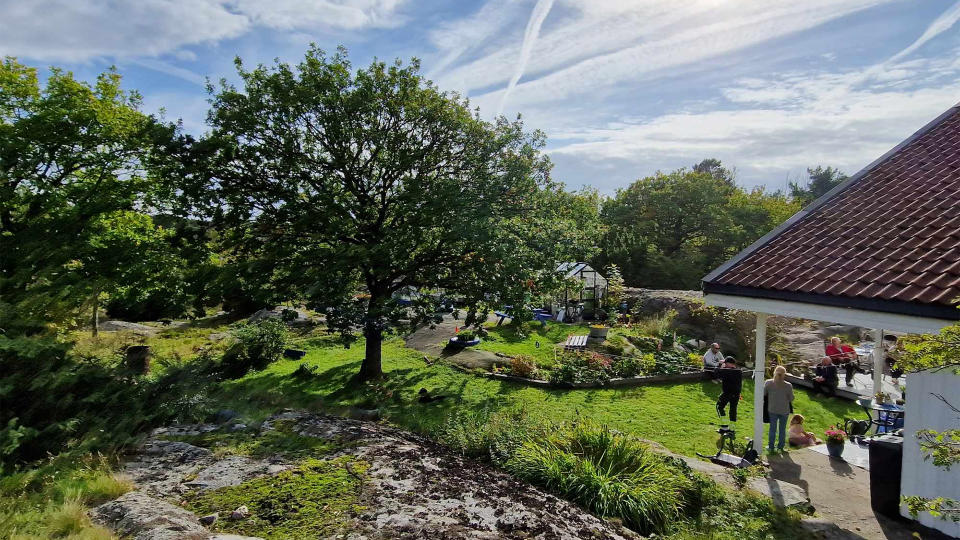 A large, green tree is behind an archaeological site, and to the left of a rooved, outdoor pavilion and beneath a blue sky.