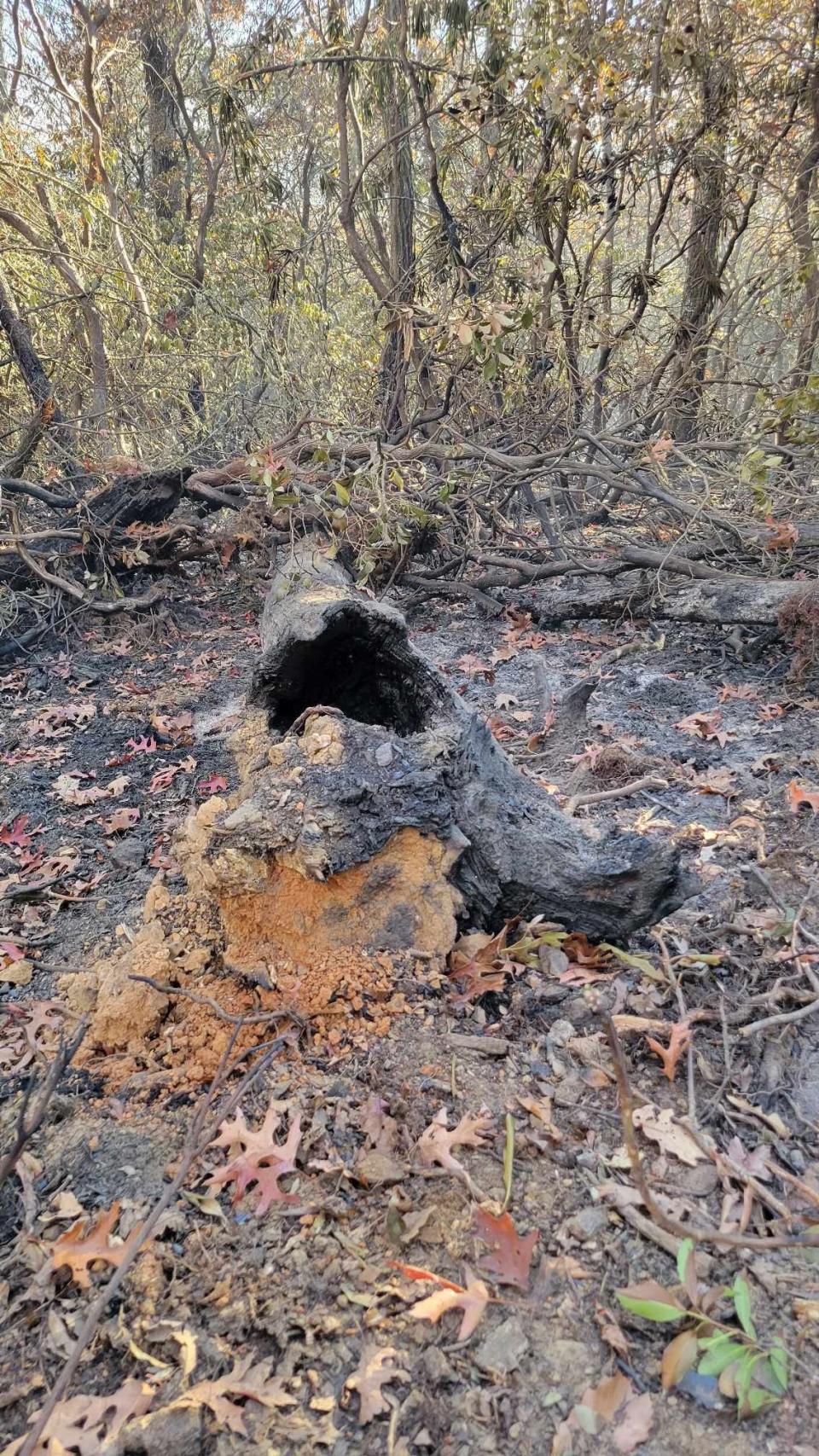 A look at the damage caused by the Poplar Drive Fire in Edneyville on Nov. 8, the sixth day of the fire.