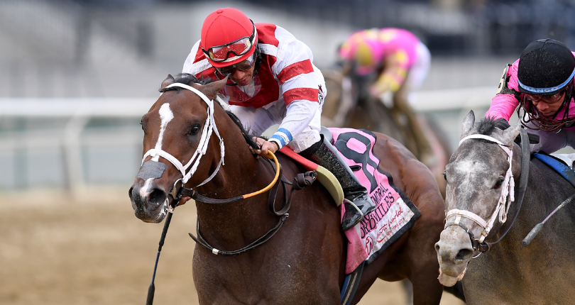 Lord Miles and jockey Paco Lopez win the Wood Memorial on April 8 at Aqueduct.