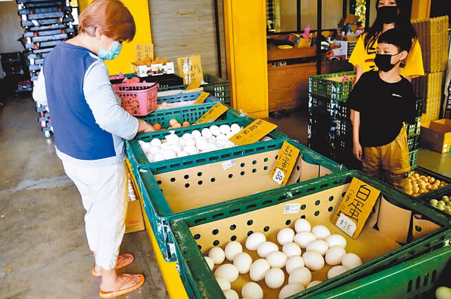 全國鬧蛋荒，不少遊客到台東順便買雞蛋，不過蛋商表示，以供應老主顧為主。（莊哲權攝）