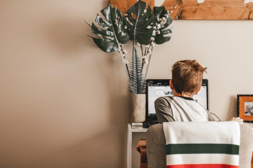 The back of a boy sitting at a computer at home.