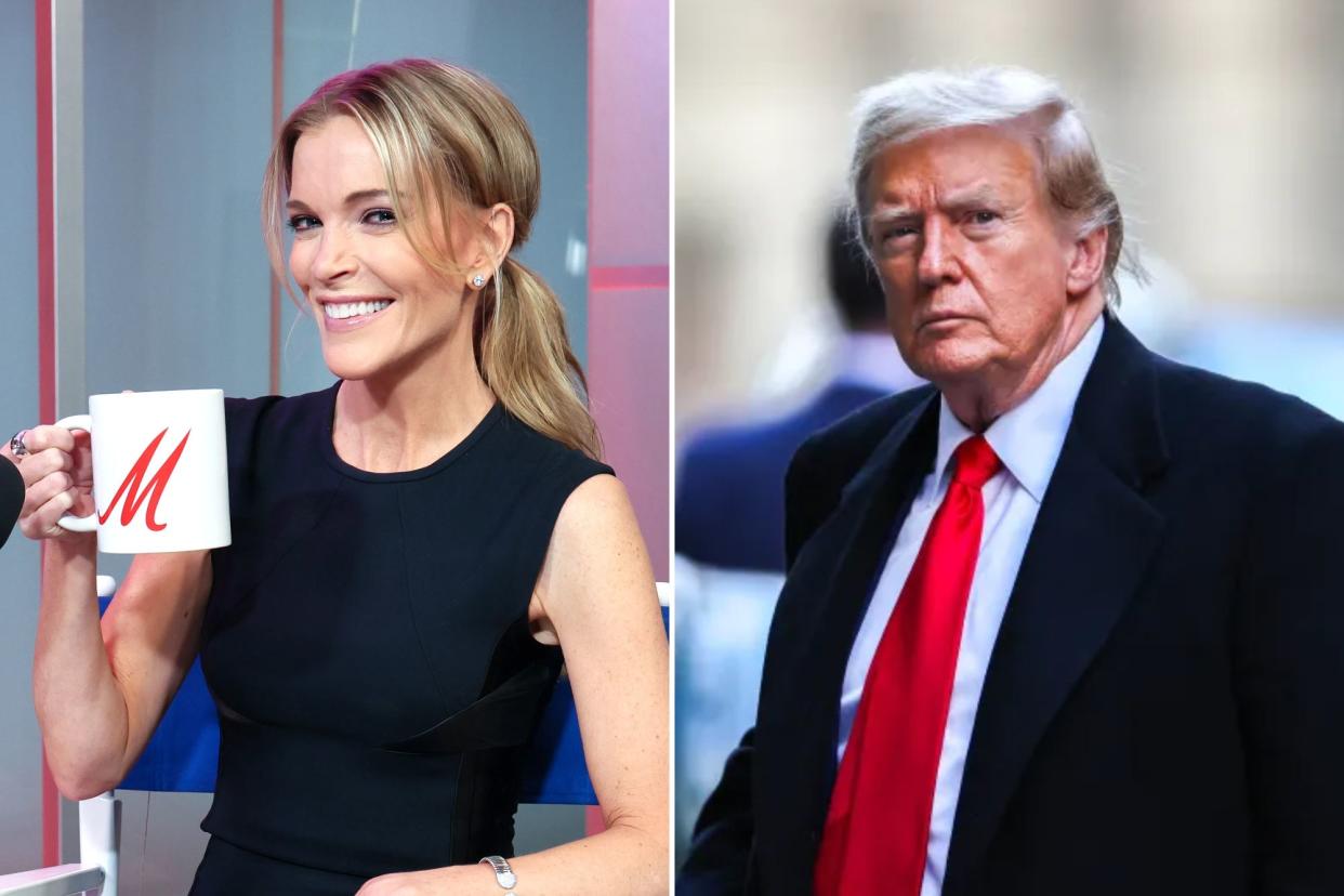 megyn kelly donald trump split