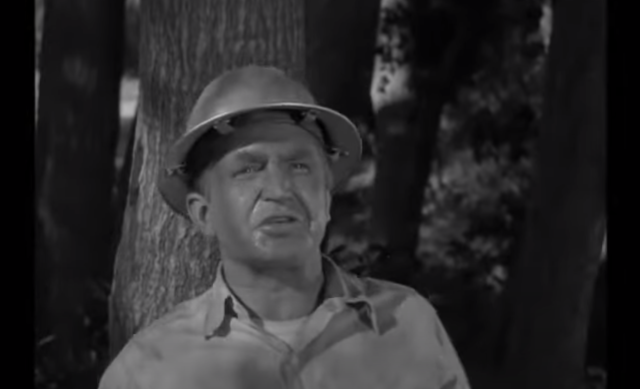 What Happened to Karl Swenson? The Actor Who Played Mr. McBeevee on 'The  Andy Griffith Show