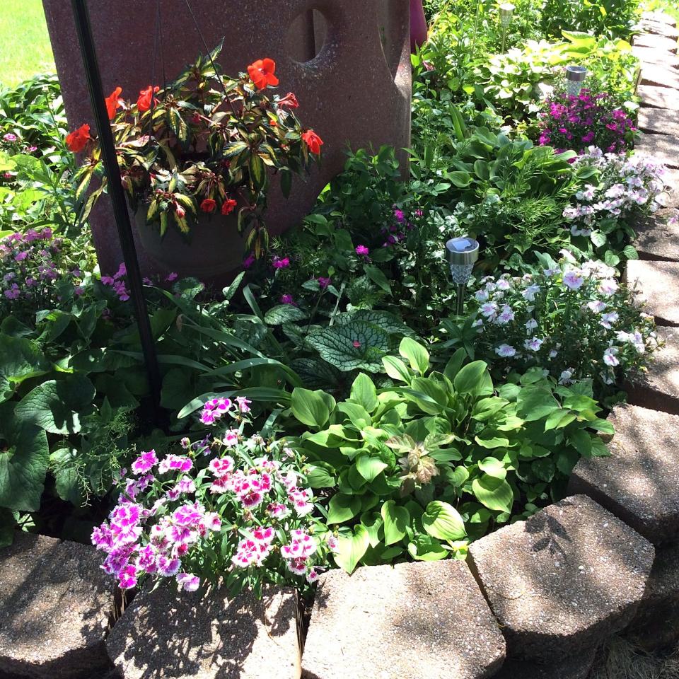 Adrian resident Sharlene Drake's garden was selected by the Adrian Women's Garden Club as the Garden of the Month for June. Drake lives at Nob Hill Apartments No. 63 in the Emerson building.