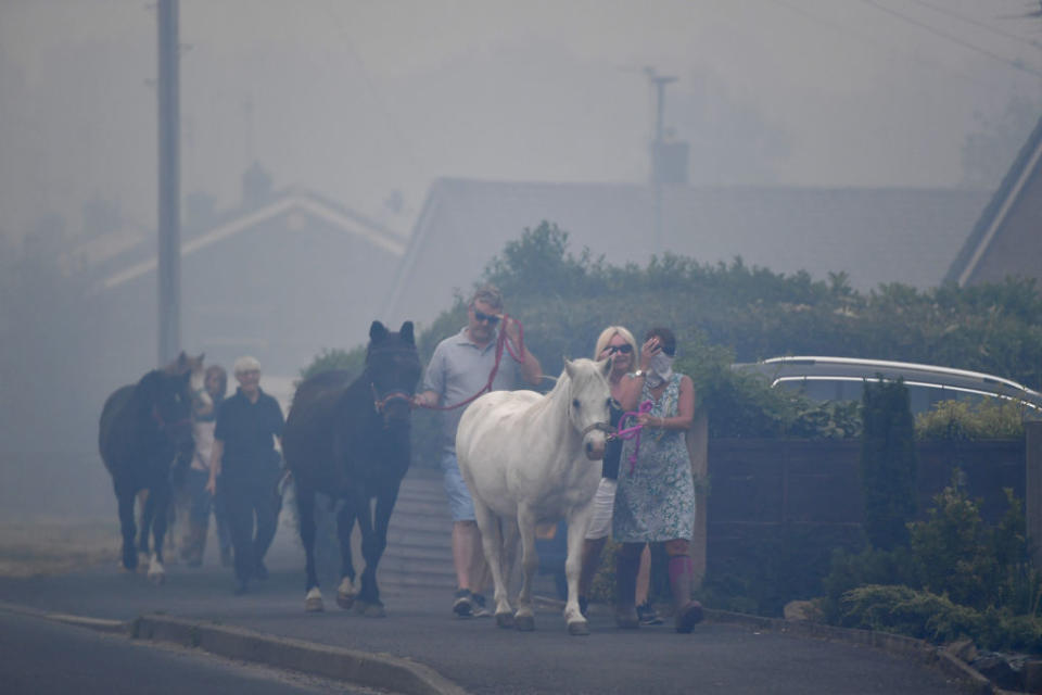 Horses are moved through heavy smoke in Carrbrook where residents were evacuated (Picture: Getty)
