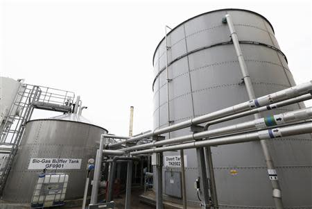 The bioenergy plant is seen at the Diageo Roseisle distillery in Scotland March 20, 2014. REUTERS/Russell Cheyne