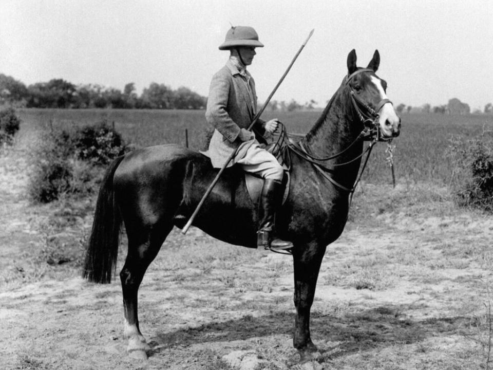 Prince Edward on the Maharaja’s champion pony (PA)