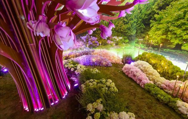 A casual indoor flower garden for guests to pose in. Photo: Instagram/@samokhing