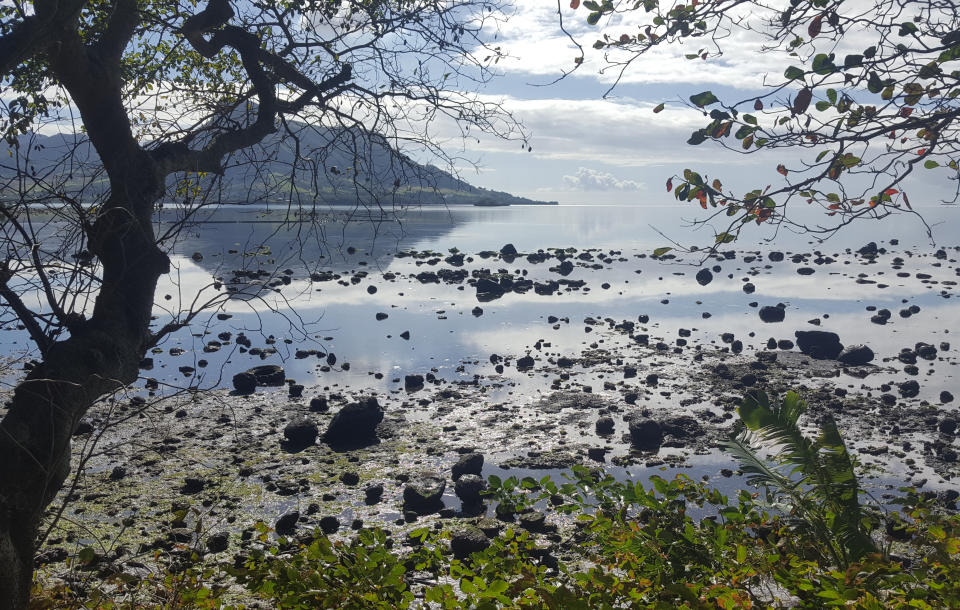 This photo taken and provided by Sophie Seneque, shows oil in Riviere des Creoles, Mauritius, Sunday Aug. 9, 2020, after it leaked from the MV Wakashio, a bulk carrier ship that recently ran aground off the southeast coast of Mauritius. Thousands of students, environmental activists and residents of Mauritius are working around the clock to reduce the damage done to the Indian Ocean island from an oil spill after a ship ran aground on a coral reef. Shipping officials said an estimated 1 ton of oil from the Japanese ship’s cargo of 4 tons has escaped into the sea. Workers were trying to stop more oil from leaking, but with high winds and rough seas on Sunday there were reports of new cracks in the ship's hull. (Sophie Seneque via AP)