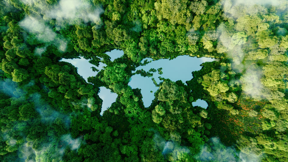 A lake in the shape of the world's continents in the middle of untouched nature. A metaphor for ecological travel, conservation, climate change, global warming and the fragility of nature.3d rendering