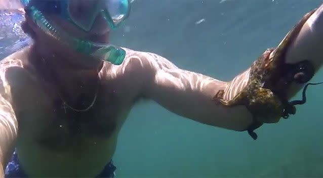 The footage was shot on the snorkelers GoPro. Source: YouTube/Stargazer Pictures.