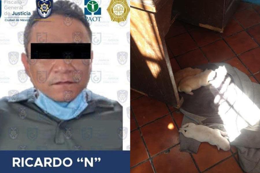 Sentencian a 4 años y 3 meses de cárcel a hombre que descuartizó perritos con un hacha