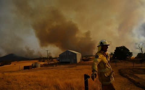 Cooler temperatures forecast for the next seven days will bring some reprieve to firefighters in NSW following weeks of emergency level bushfires - Credit: Sam Mooy/Getty Images