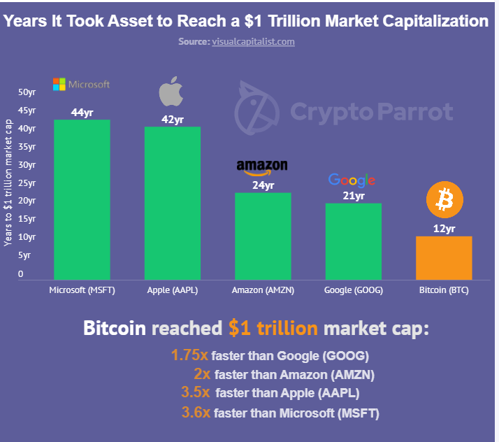 Chart: CryptoParrot