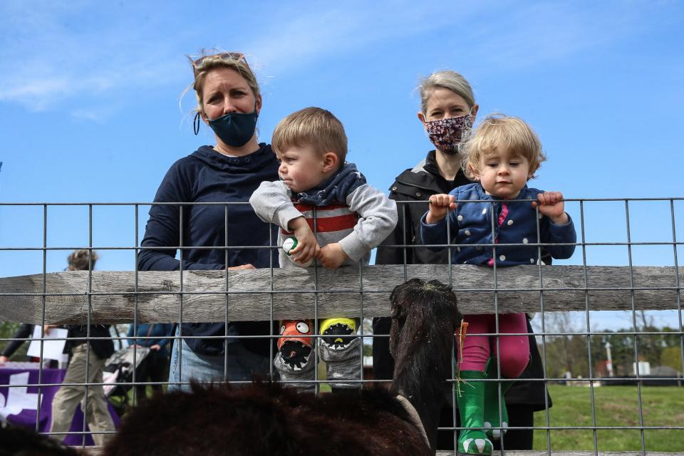 Ryan Deans, 2, of Dorchester, left, and Finley Gaughan, 2, of Milton, check out the goats with their moms, Kate and Zaidee, during the Baby Goat and Lamb Cuddle Party at Chestnut Hill Farm in Southborough on May 2, 2021.