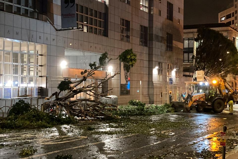fallen trees block street and entrance to large white library building