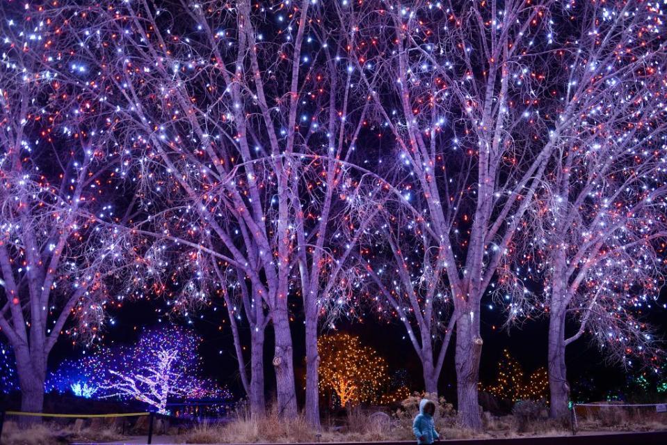 Blossoms of Lights at the Denver Botanic Gardens in Denver, Colorado