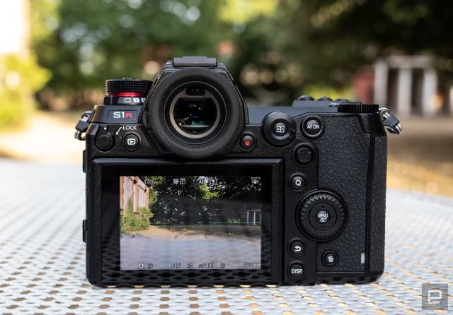 Panasonic Lumix S1R Review  What Do You Do With 187 Megapixels